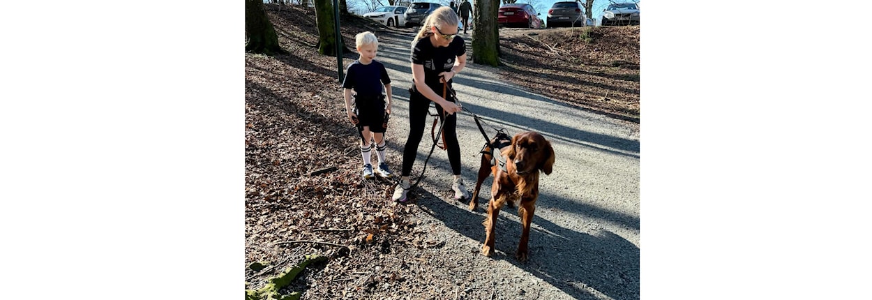 9 - 14 år: Sommerhundekjøreskole trinn 1